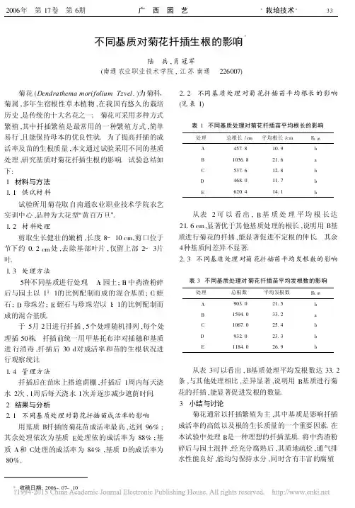不同基质对菊花扦插生根的影响