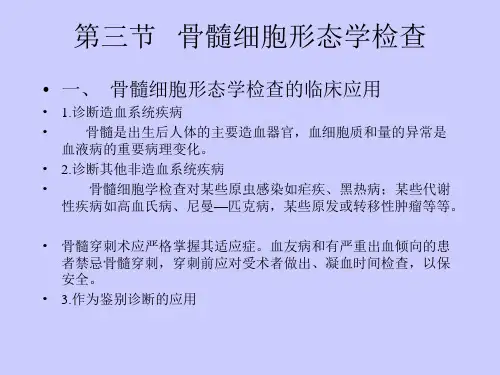 骨髓细胞学——实验室检查