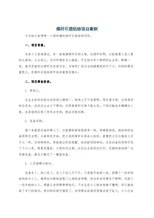 煤矸石烧结砖项目案例