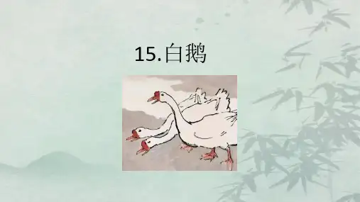 15.白鹅  课件(共20张PPT).ppt