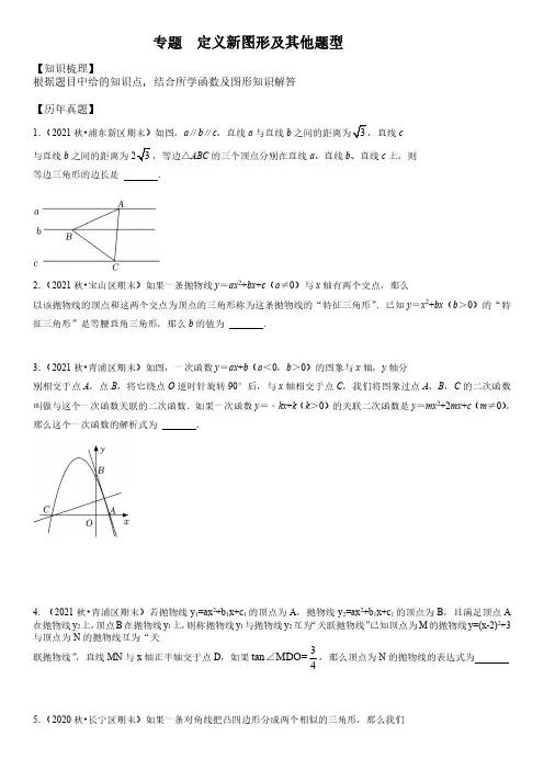 2019-2021年上海各区数学中考一模压轴题分类汇编18题-定义新图形及其他题型含详解