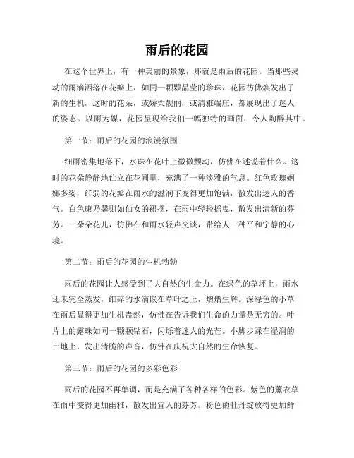 雨后的花园   