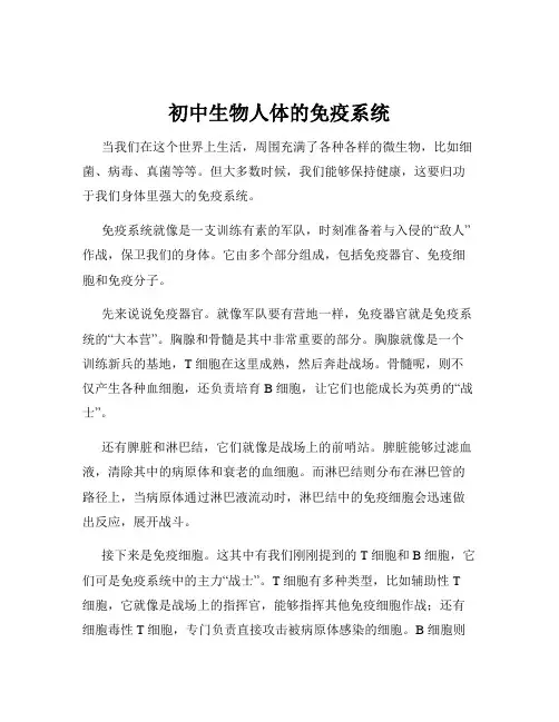 初中生物人体的免疫系统