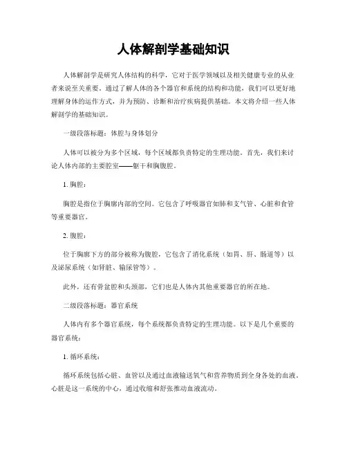人体解剖学基础知识