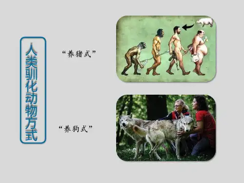 线粒体与叶绿体的关系