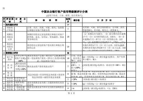 中国农业银行,客户信用等级,测评计分表