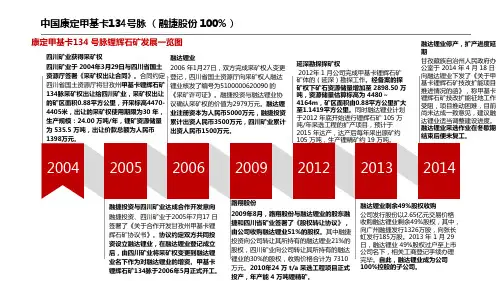 中国康定甲基卡134号脉锂辉石矿基本情况