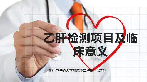 乙肝检测项目及临床意义 