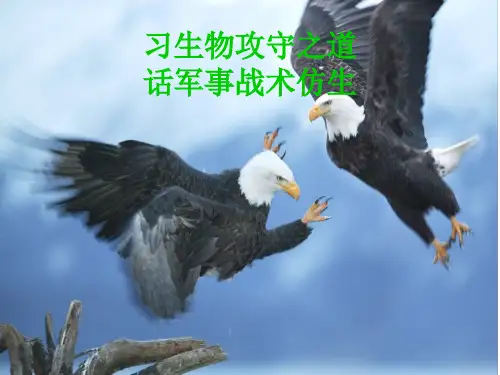 军事仿生第三节——仿生进攻战术