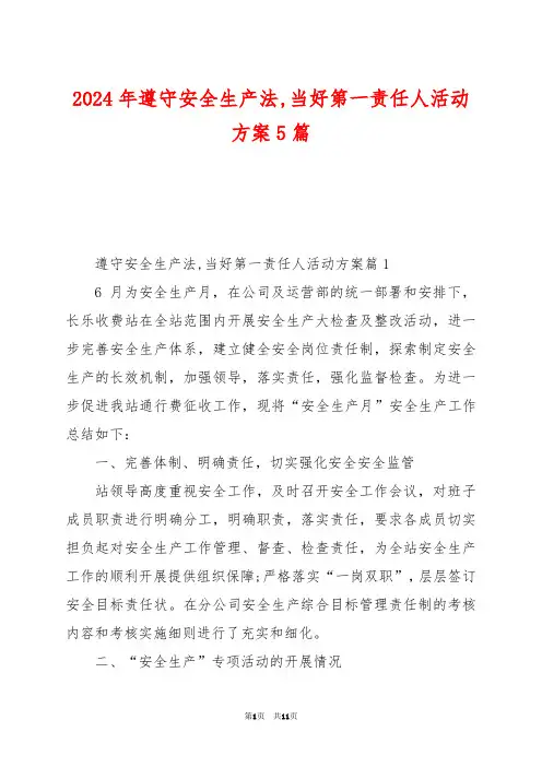 2024年遵守安全生产法,当好第一责任人活动方案5篇