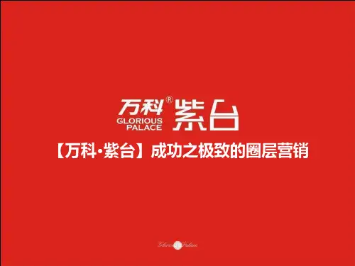 万科营销策划方案
