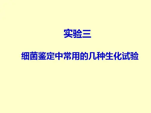 实验三 细菌鉴定中的几种生化试验