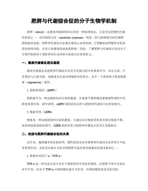 肥胖与代谢综合征的分子生物学机制