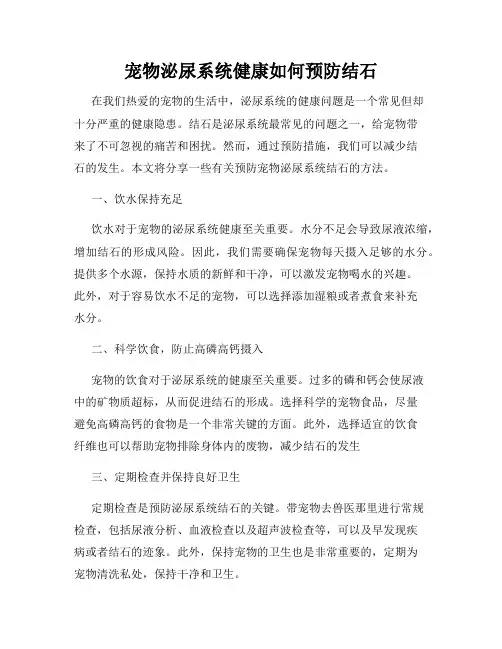宠物泌尿系统健康如何预防结石