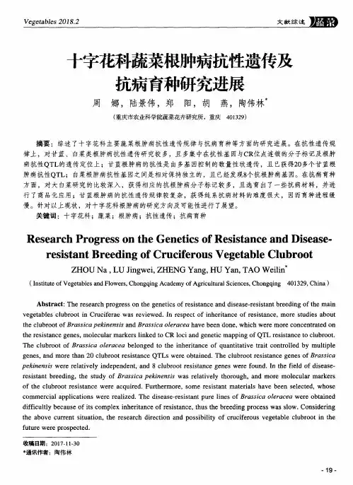 十字花科蔬菜根肿病抗性遗传及抗病育种研究进展