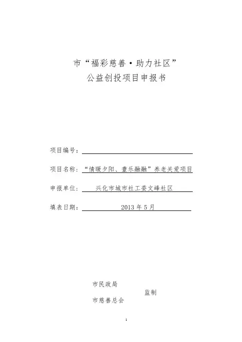 公益创投项目申报书范本