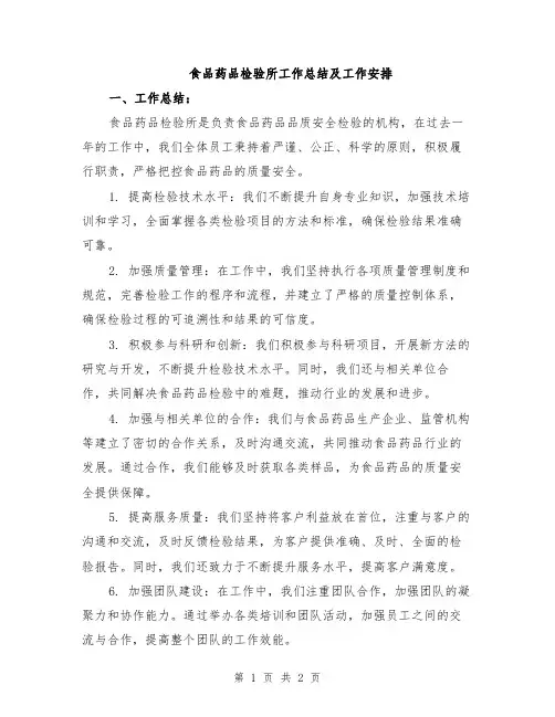 食品药品检验所工作总结及工作安排