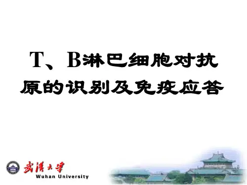 免疫应答