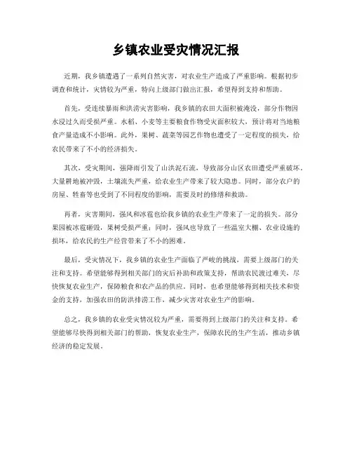 乡镇农业受灾情况汇报