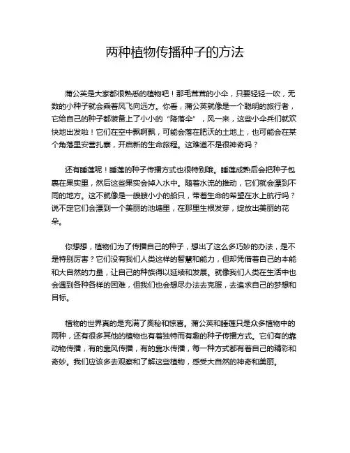 两种植物传播种子的方法