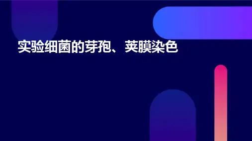 实验细菌的芽孢、荚膜染色