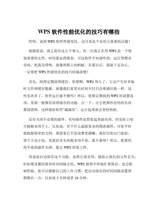 WPS软件性能优化的技巧有哪些
