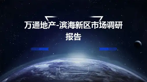 万通地产-滨海新区市场调研报告