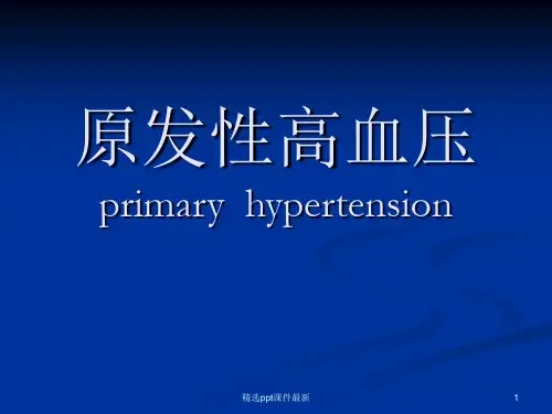 原发性高血压病 PPT课件