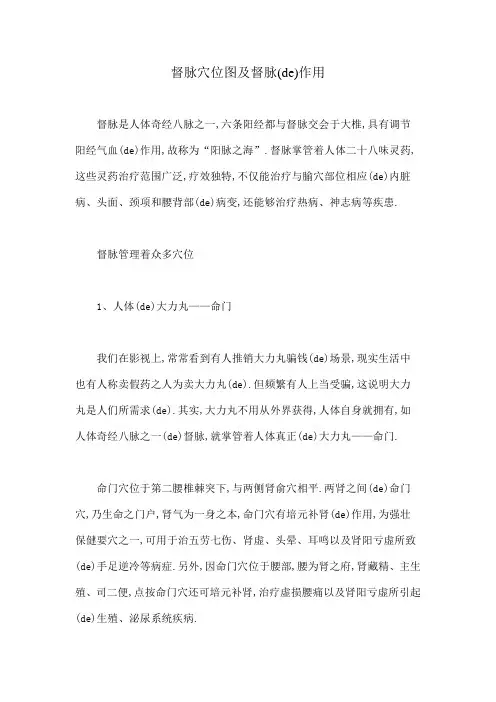 督脉穴位图及督脉的作用