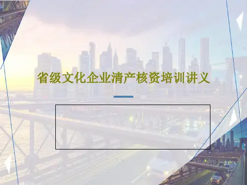 省级文化企业清产核资培训讲义共69页文档