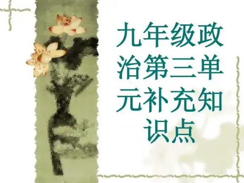 人教版九年级政治第三单元补充知识点