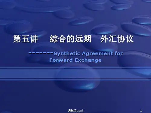 第五章    综合的远期外汇协议PPT课件