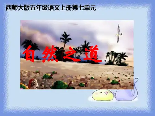 五年级上册《自然之道》课件
