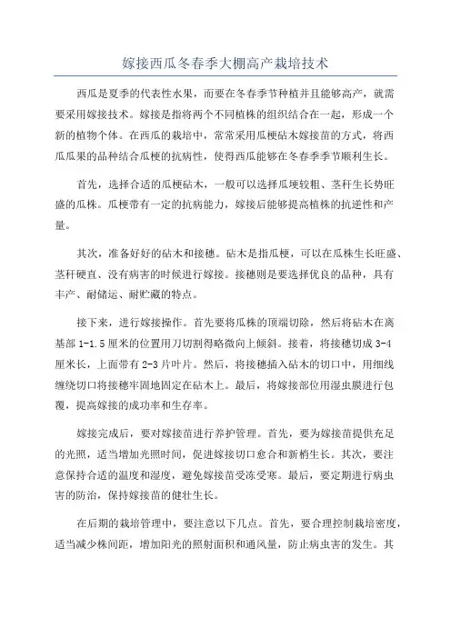 嫁接西瓜冬春季大棚高产栽培技术