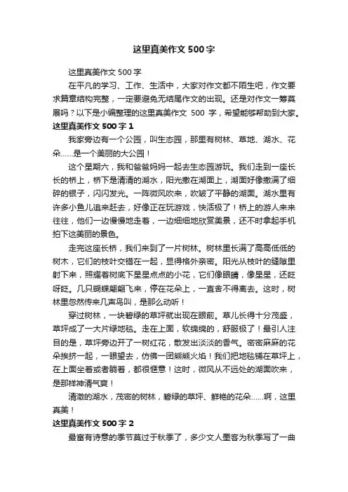 这里真美作文500字