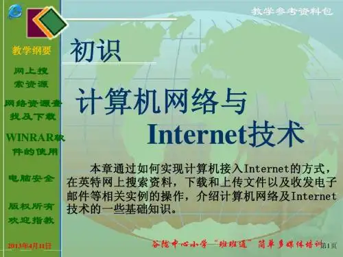 计算机网络技术与Internet使用PPT课件