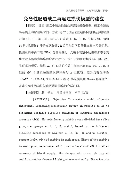 兔急性肠道缺血再灌注损伤模型的建立