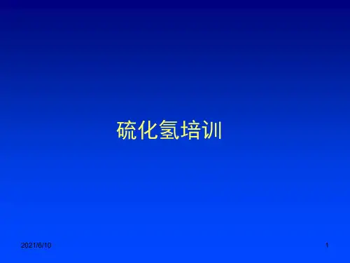 《硫化氢培训课件》PPT课件