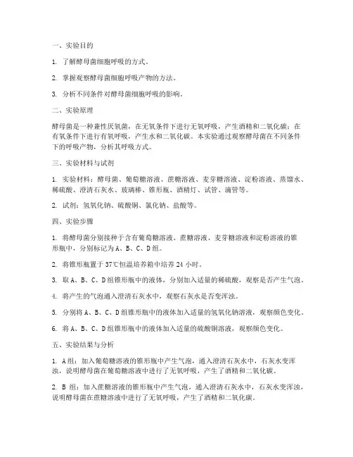 酵母呼吸的实验报告