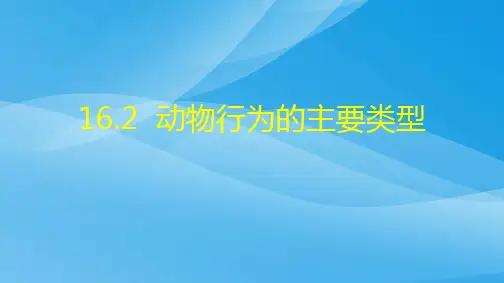 八上生物16.2《动物行为的主要类型》ppt课件(北师大版)生物课件PPT