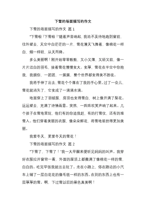 下雪的场面描写的作文