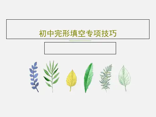 初中完形填空专项技巧PPT文档30页