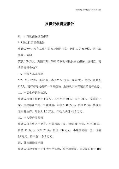 担保贷款调查报告