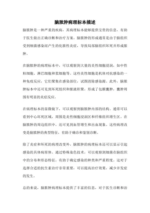 脑脓肿病理标本描述