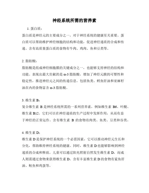 神经系统所需的营养素