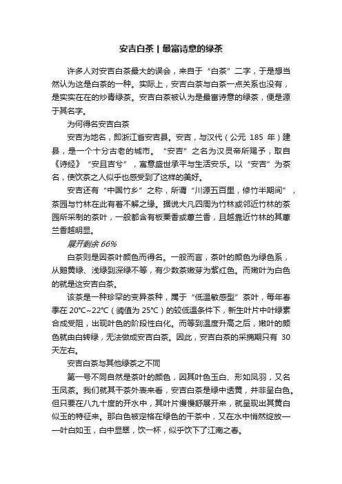 安吉白茶丨最富诗意的绿茶