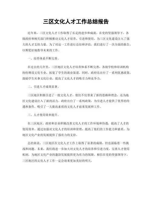 三区文化人才工作总结报告