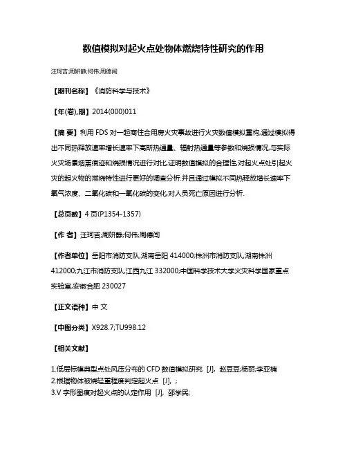 数值模拟对起火点处物体燃烧特性研究的作用