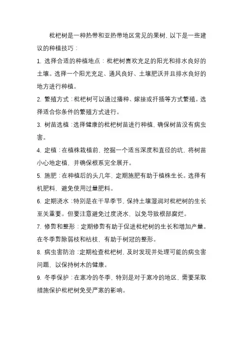 枇杷树种植技巧