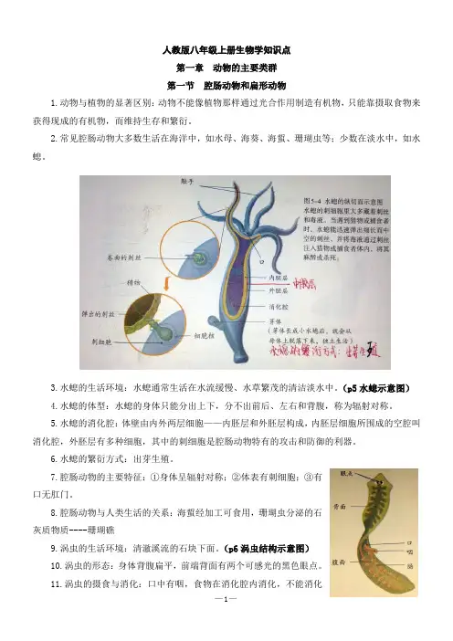 初二生物上册必背知识点